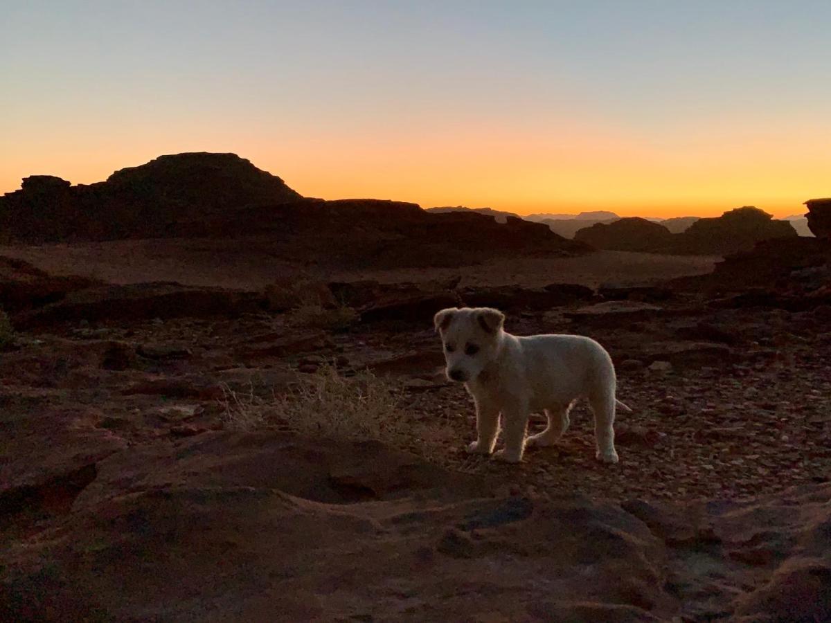 Wadi Rum Bedouin Tour With A Camp Exterior foto